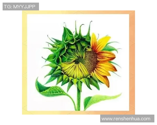 黄军独家分享篮球心得与技巧助你提升球技的全面指南