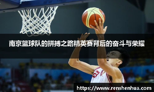 南京篮球队的拼搏之路精英赛背后的奋斗与荣耀